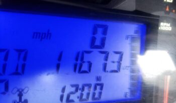 2019 POLARIS RZR XP 1000 EPS HIGH LIFTER EDITION-$22000 full