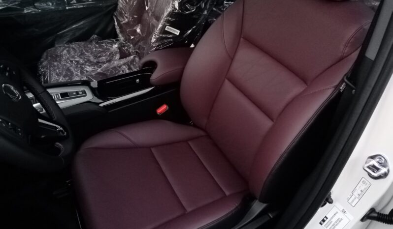 Honda MN-V Base EV 2022 full